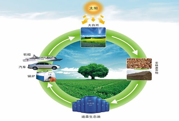 “兩秒等于千百萬(wàn)年”——廣州迪森熱能